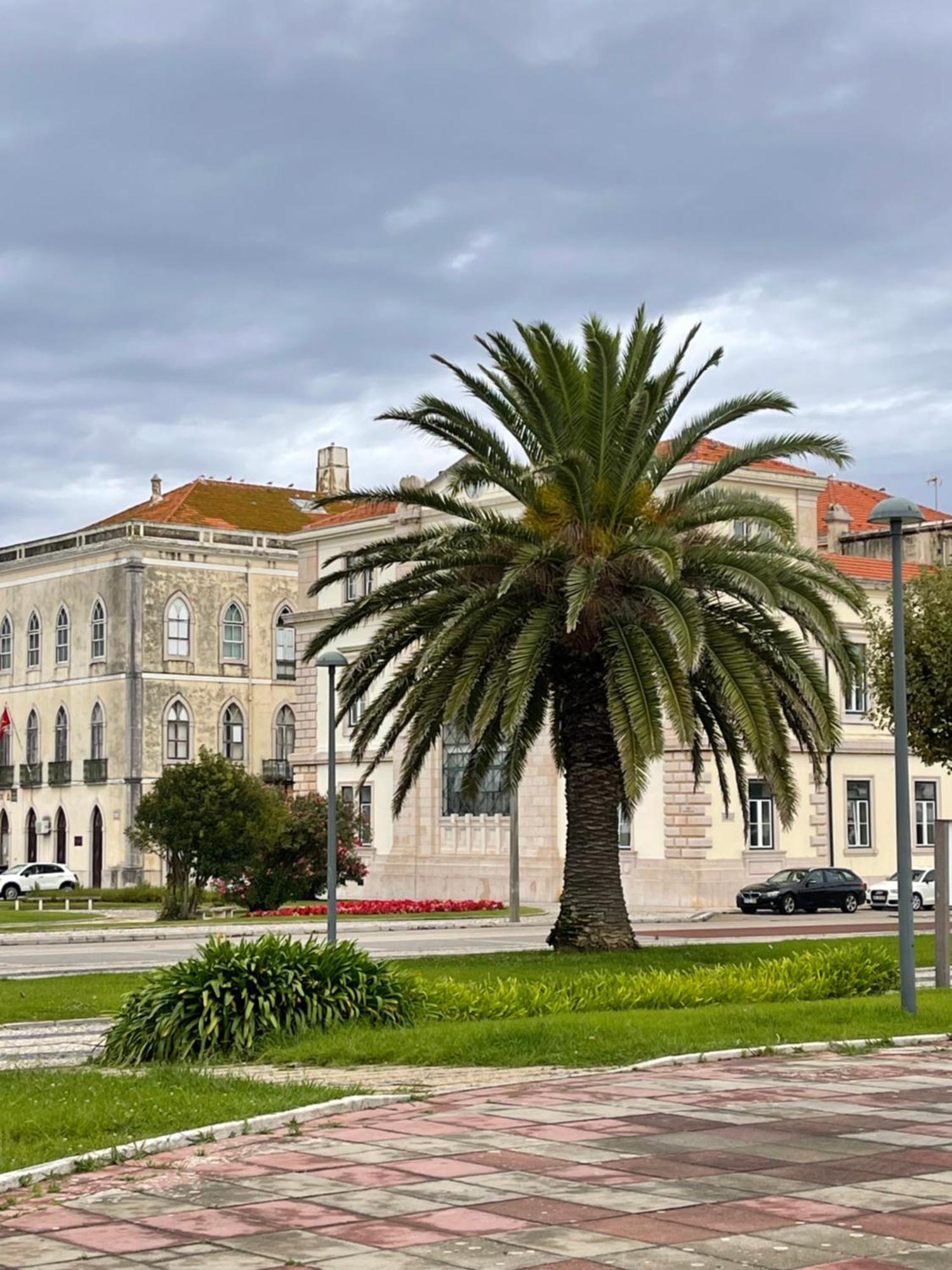 Patio Da Foz - Appartement Tres Accueillant Centre-Ville Figueira da Foz Zewnętrze zdjęcie
